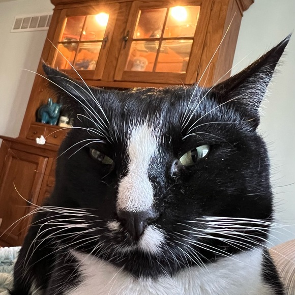 Hi! It’s Me, Kylo! - Picture 8 of 8